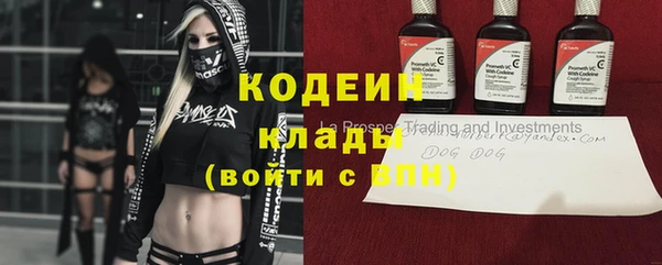 скорость Няндома