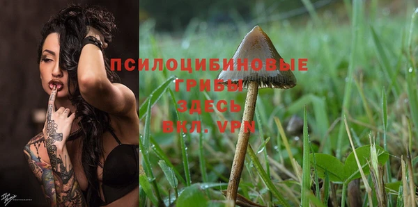 герыч Новодвинск