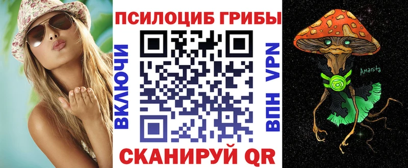 mega зеркало  купить наркоту  даркнет клад  Псилоцибиновые грибы мухоморы  Андреаполь 