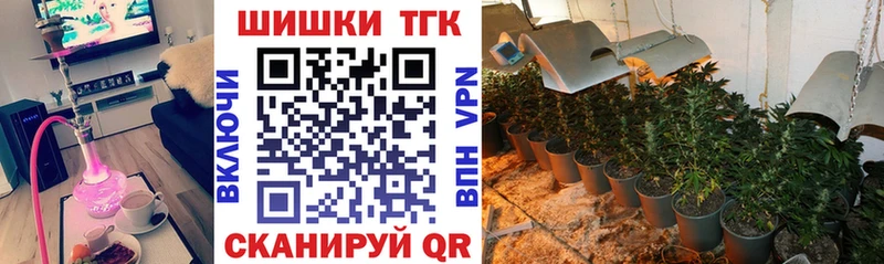 МАРИХУАНА сатива  где продают наркотики  Андреаполь 